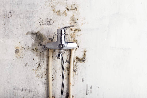 Best Water Damage Restoration  in Kure Beach, NC