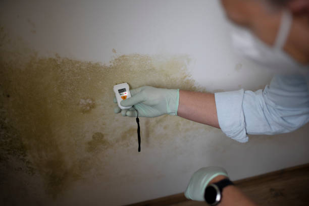Best Crawl Space Mold Removal  in Kure Beach, NC