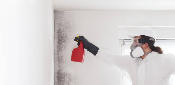 Best Office Mold Removal Services  in Kure Beach, NC